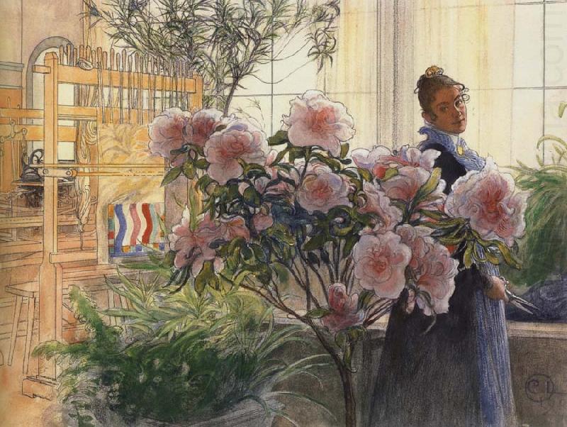 Carl Larsson Azalea china oil painting image